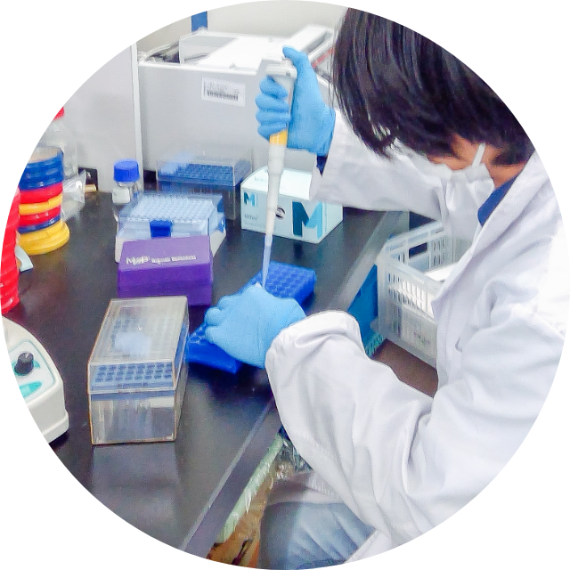 地域活性化研究 地域の課題解決や活性化に向けた研究を支援する取り組み